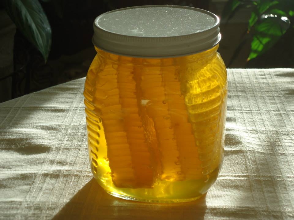 Reeder Bees