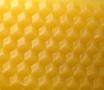 Reeder Bees
