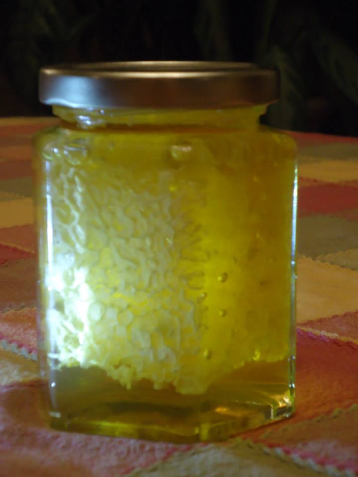 Reeder Bees